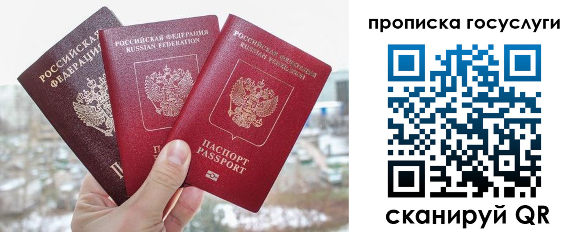 прописка законно в Зеленокумске